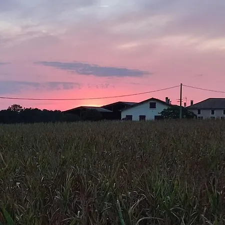 Le Domaine De Laurolie